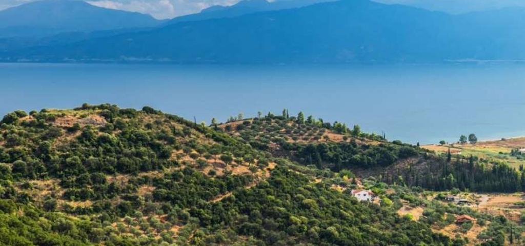 Παράταση έξι μηνών για την υποβολή αντιρρήσεων στους δασικούς χάρτες Παράταση έξι μηνών για την υποβολή αντιρρήσεων στους δασικούς χάρτες